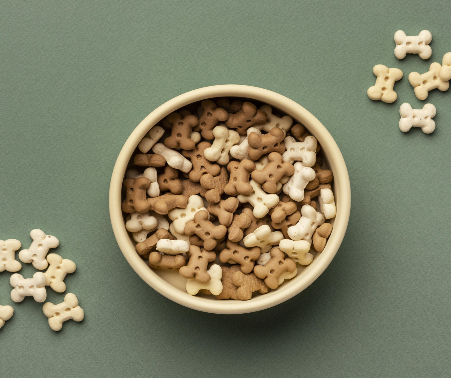 Premium Dog Dry Food