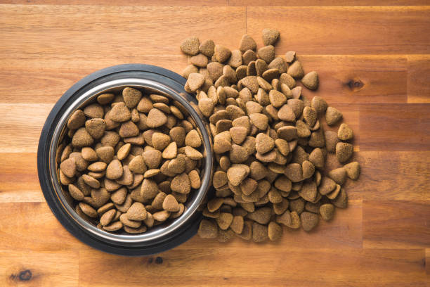 Dog Dry Food - Regular Plan